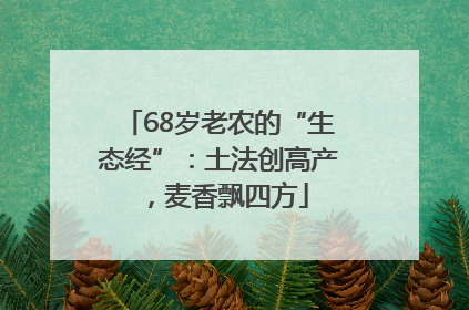 68岁老农的“生态经”：土法创高产，麦香飘四方