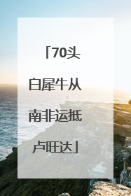 70头白犀牛从南非运抵卢旺达