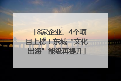 8家企业、4个项目上榜！东城“文化出海”能级再提升