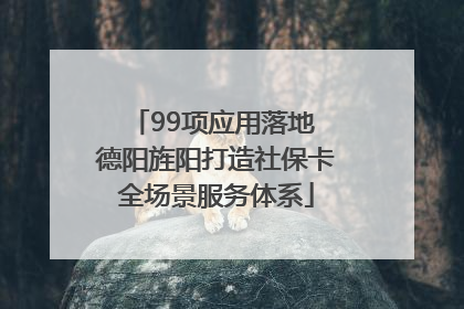 99项应用落地 德阳旌阳打造社保卡全场景服务体系