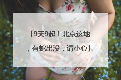 9天9起！北京这地，有蛇出没，请小心