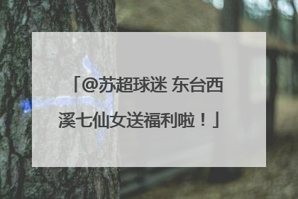 @苏超球迷 东台西溪七仙女送福利啦！