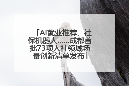 AI就业推荐、社保机器人……成都首批73项人社领域场景创新清单发布