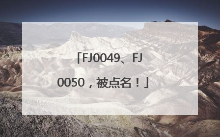 FJ0049、FJ0050，被点名！