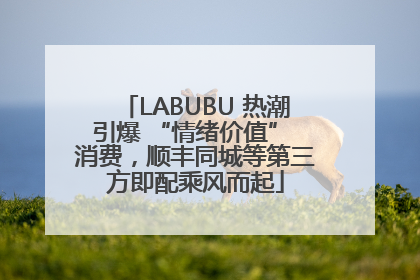 LABUBU 热潮引爆 “情绪价值” 消费，顺丰同城等第三方即配乘风而起