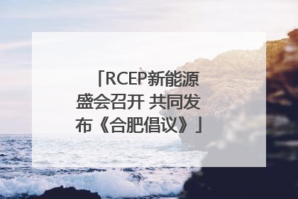 RCEP新能源盛会召开 共同发布《合肥倡议》